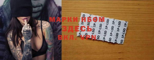 PSILOCYBIN Переславль-Залесский